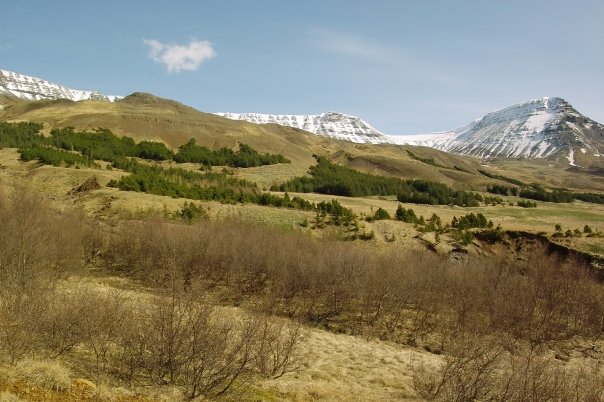 Die Bergregion Esja auf Island	